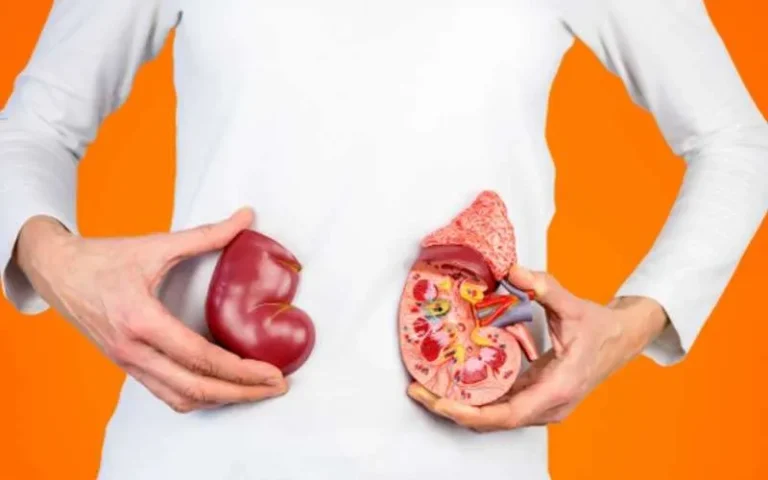 5 Panduan Detoksifikasi Ginjal: Langkah-Langkah Praktis