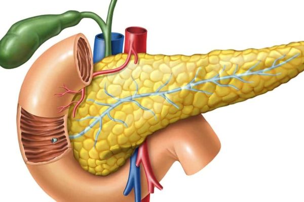 7 Tips Mencegah Pankreatitis Sejak Dini 7 Tips Mencegah Pankreatitis Sejak Dini