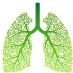 7 Tips Detoks Paru-Paru Secara Alami di Rumah